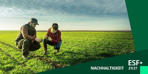 Ein erwachsener Mann und eine erwachsene Frau knien über einem grünen Feld und prüfen den Boden.