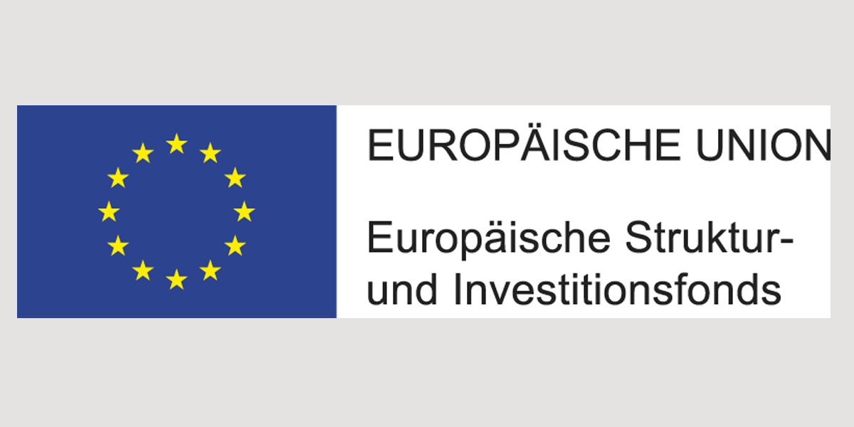 EU-Logo-ESI-Schriftzug-rechts-neben-der-Fahne