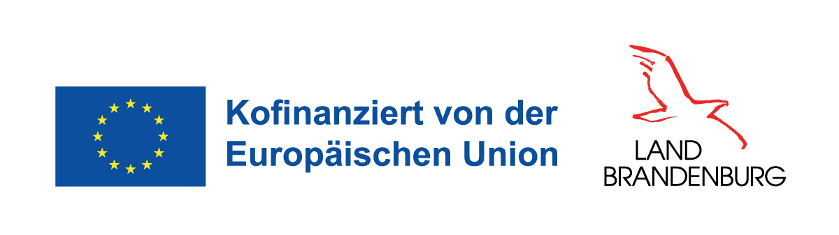 Logo: Gefördert aus Mitteln der Europäischen Union