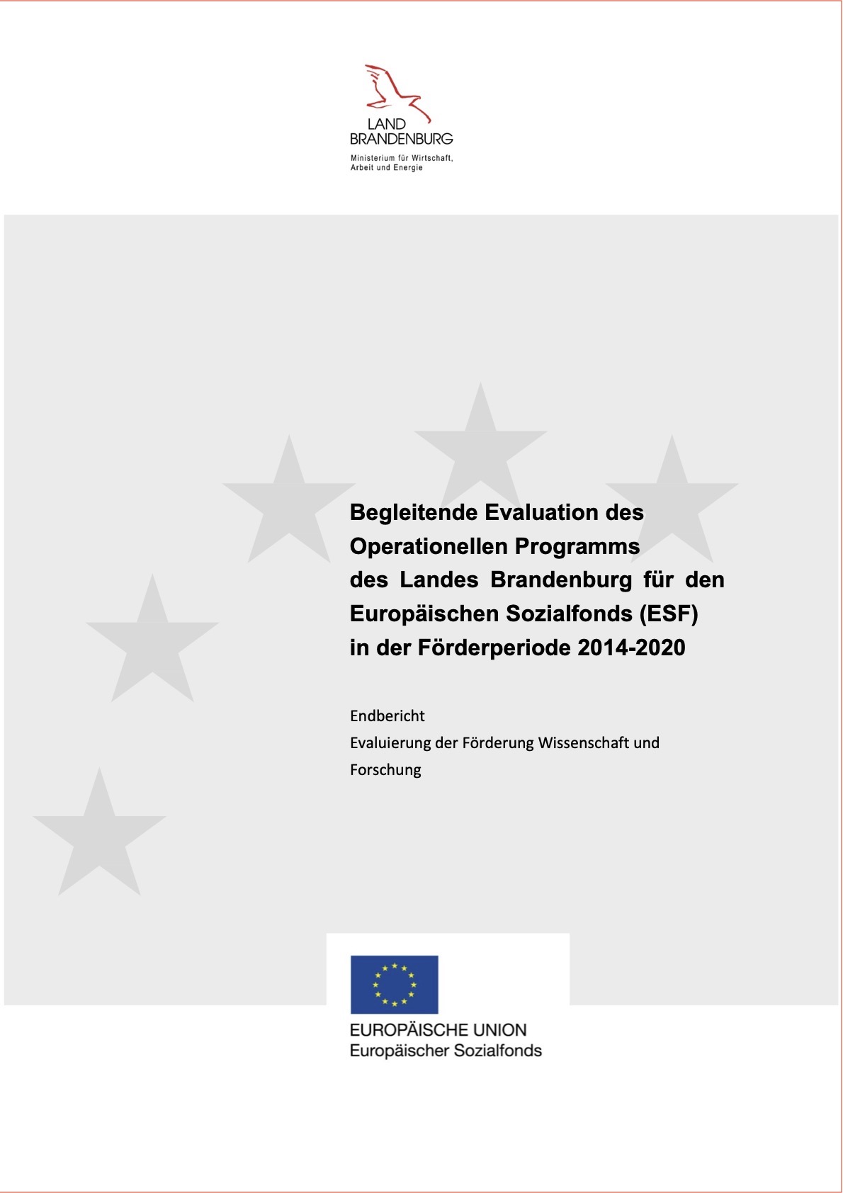 Deckblatt Endbericht Evaluierung der Förderung Wissenschaft und Forschung Deckblatt Endbericht Evaluierung der Förderung Wissenschaft und Forschung
