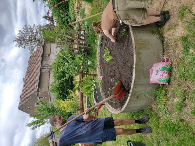 Ein großer Betonring, in dem sich frische Erde und erste Pflanzten befinden, die gerade von einer jungen Frau und einem jungen Mann eingepflanzt werden.