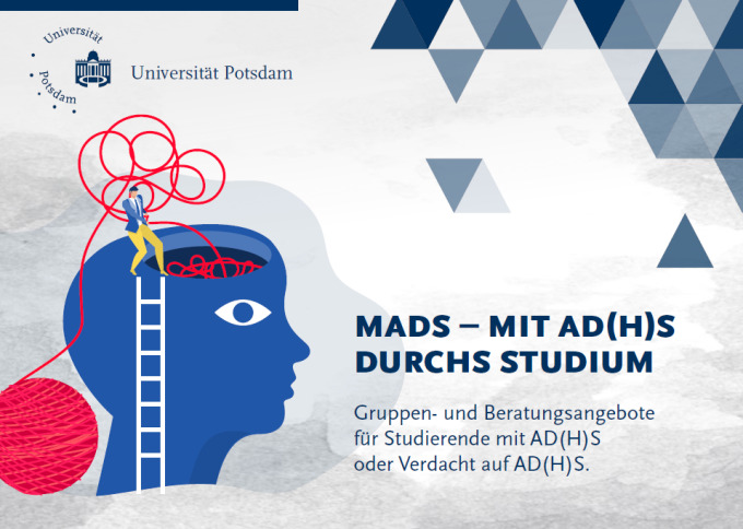 Der Flyer des Projekts 'MadS'.